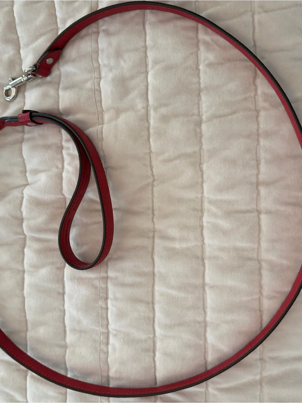 Brand new Coach dog leash about 4ft long